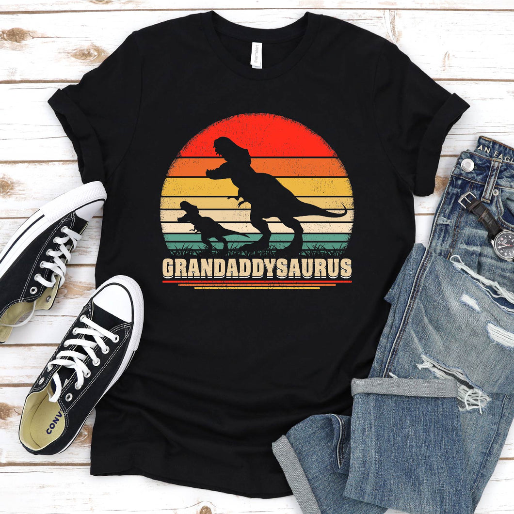 T-Rex Dinosaur Vintage Grandaddysaurus Dinosaur Grandaddy Father's Day T-shirt